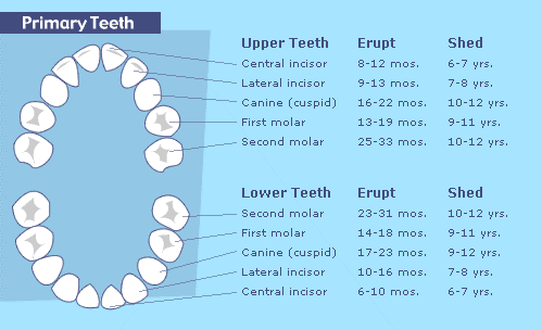 Dental Tips – Blue Fish Pediatrics – Texas