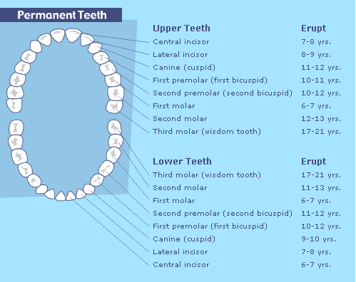 Dental Tips – Blue Fish Pediatrics – Texas